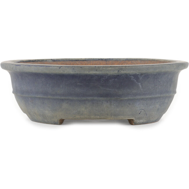 Vaso bonsai ovale blu - 383 x 295 x 87 mm