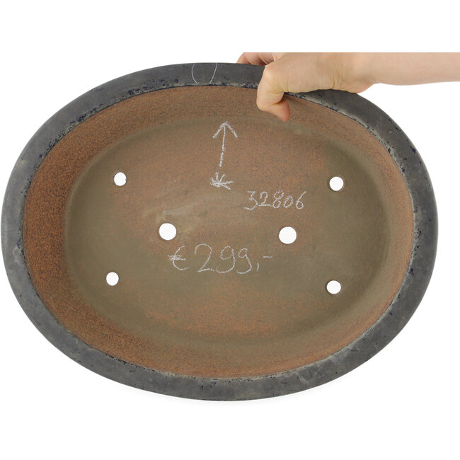 Pot à bonsaï ovale bleu - 383 x 295 x 87 mm