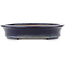 Oval blue bonsai pot by Reiho, first generation - 382 x 288 x 58 mm