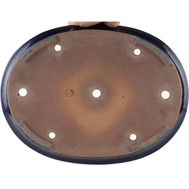 Oval blue bonsai pot by Reiho, first generation - 382 x 288 x 58 mm