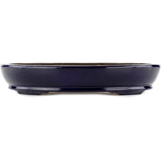  Hattori Tomoyuki Blauwe bonsaipot van 370 mm van Hattori, Tokoname, Japan