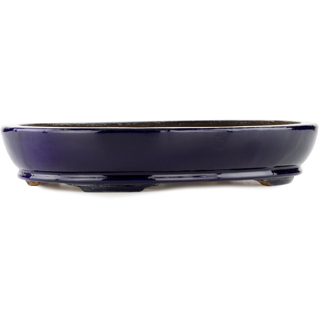 Vaso bonsai ovale blu di Hattori - 370 x 285 x 66 mm