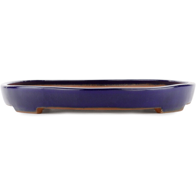 Oval blue bonsai pot by Yamafusa - 344 x 263 x 35 mm