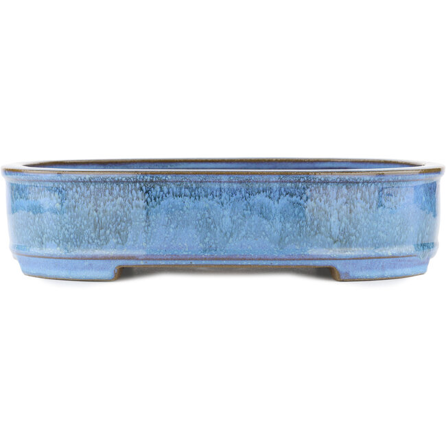 Oval blue bonsai pot by Taizan - 395 x 310 x 93 mm