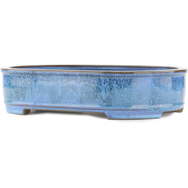 Pot à bonsaï ovale bleu par Taizan - 395 x 310 x 93 mm