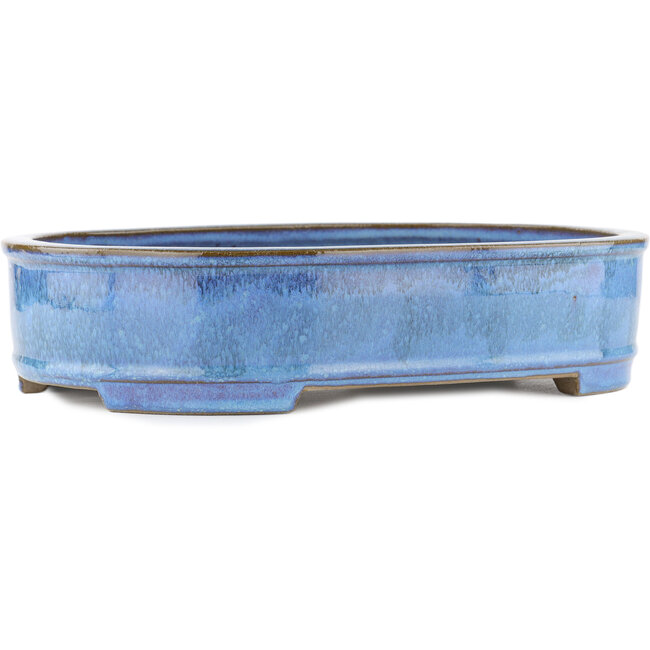 Oval blue bonsai pot by Taizan - 395 x 310 x 93 mm