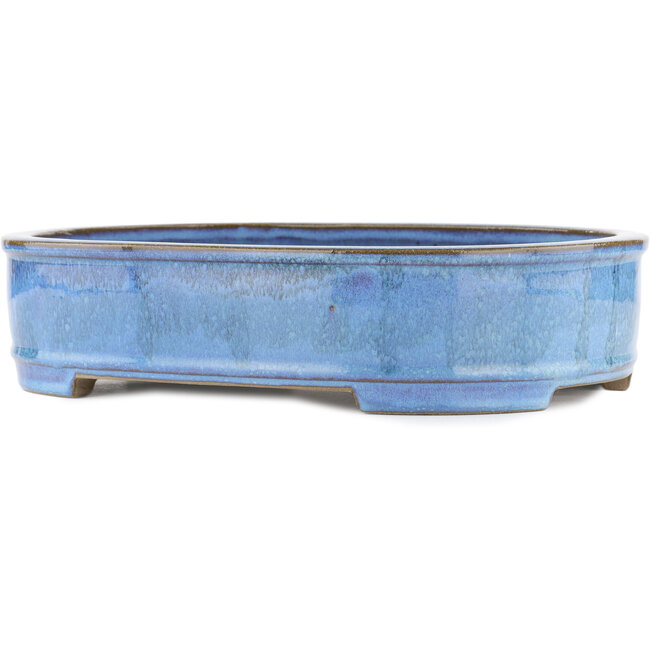 Ovaler blauer Bonsai-Topf von Taizan - 395 x 310 x 93 mm