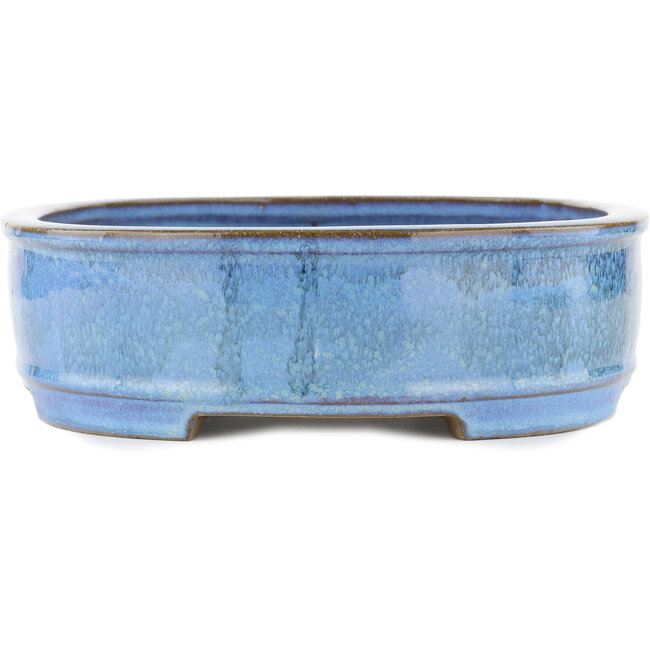 Vaso bonsai ovale blu di Taizan - 395 x 310 x 93 mm