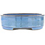 Maceta ovalada para bonsái azul de Taizan - 395 x 310 x 93 mm