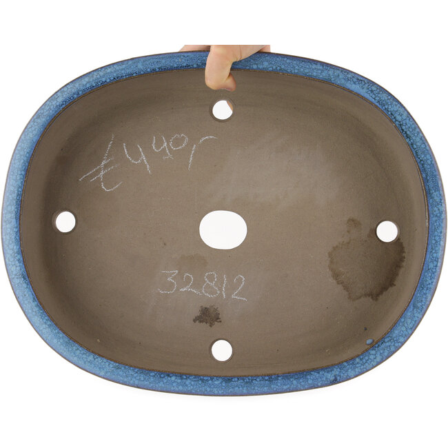 Maceta ovalada para bonsái azul de Taizan - 395 x 310 x 93 mm