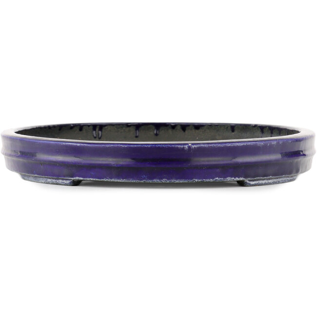 Maceta ovalada para bonsái azul de Koyou - 410 x 275 x 36 mm