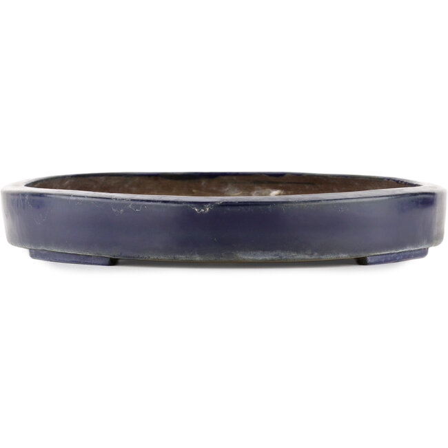 Pot à bonsaï ovale bleu - 405 x 305 x 46 mm