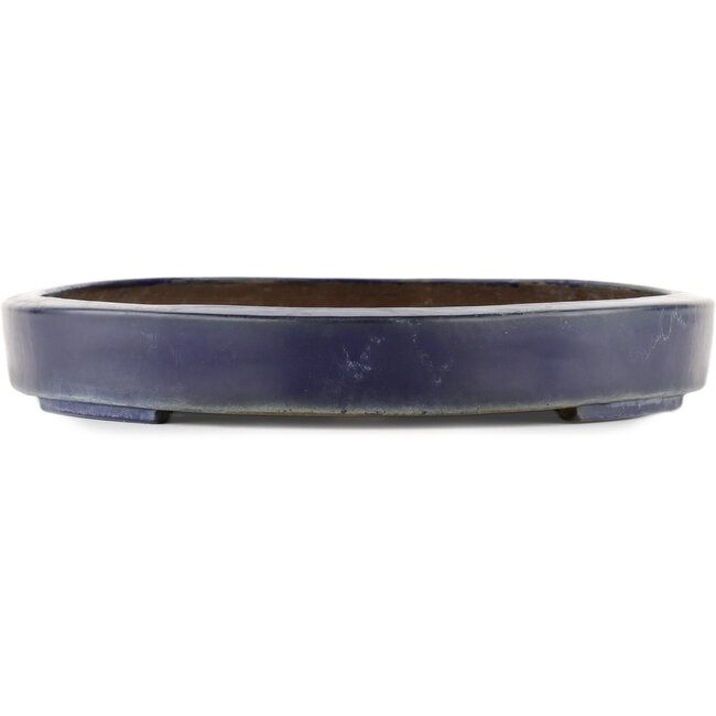 Pot à bonsaï ovale bleu - 405 x 305 x 46 mm