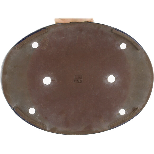 Vaso bonsai ovale blu - 405 x 305 x 46 mm