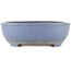 Ovaler blauer Bonsai-Topf von Yamafusa - 342 x 272 x 86 mm