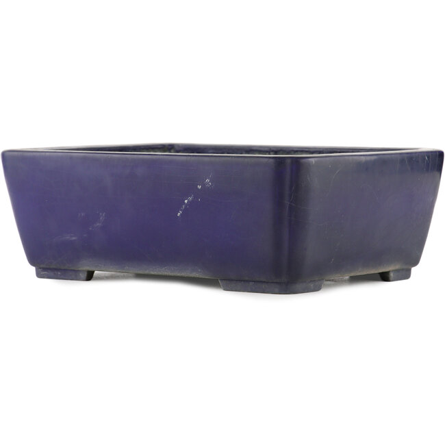 Pot à bonsaï ovale bleu par Koyou - 310 x 240 x 105 mm