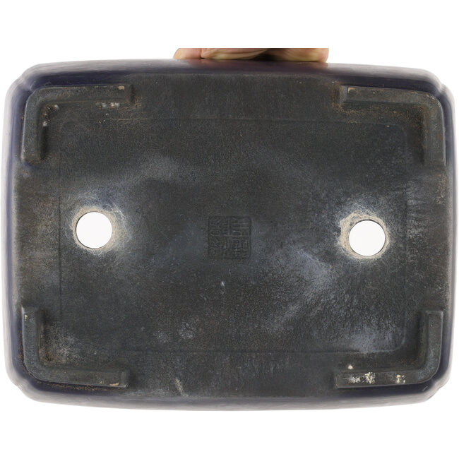 Ovale blauwe bonsaipot van Koyou - 310 x 240 x 105 mm