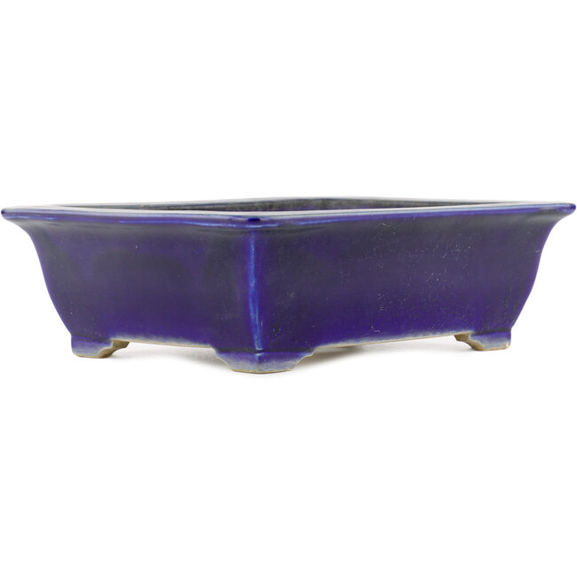 Ovaler blauer Bonsai-Topf von Taizan - 355 x 282 x 109 mm