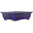 Oval blue bonsai pot by Taizan - 355 x 282 x 109 mm