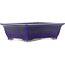 Oval blue bonsai pot by Taizan - 355 x 282 x 109 mm