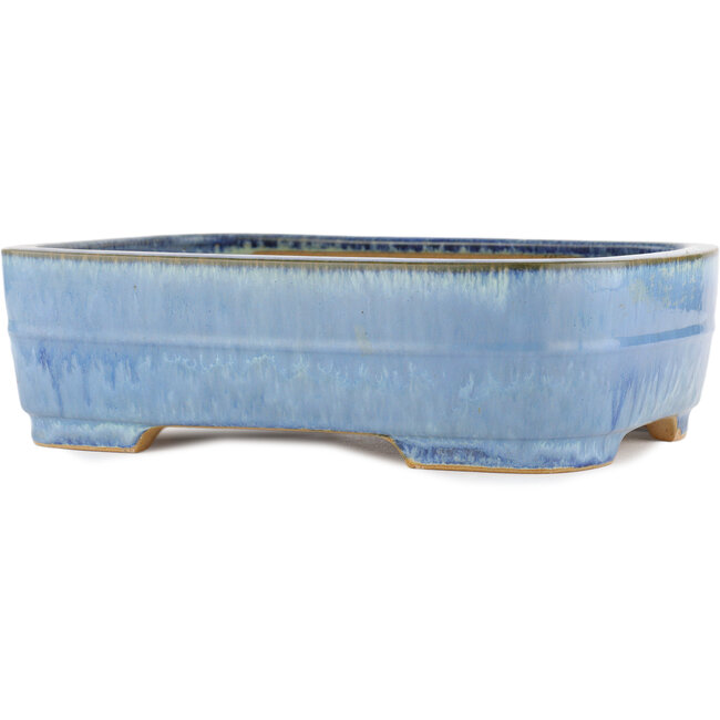 Ovale blauwe bonsaipot van Yamafusa - 315 x 245 x 90 mm