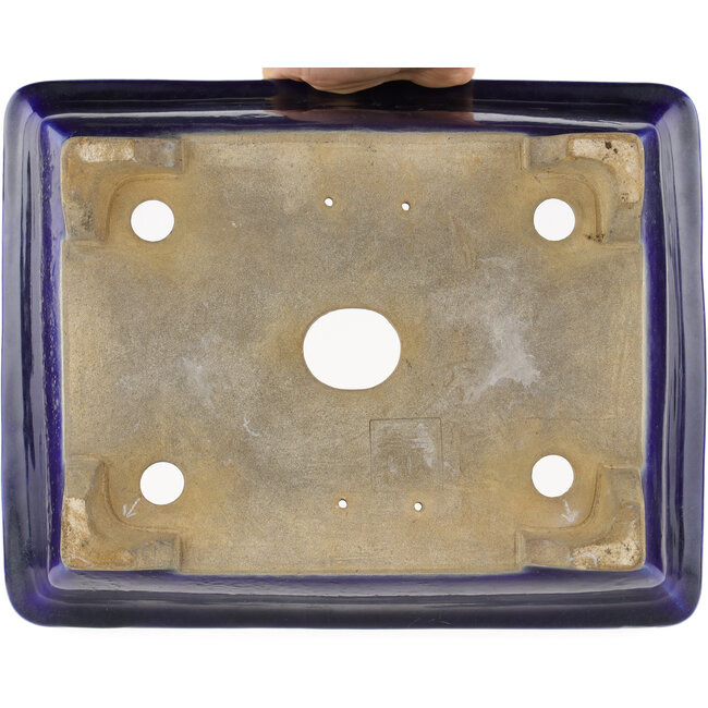 Vaso bonsai ovale blu di Taizan - 355 x 282 x 109 mm