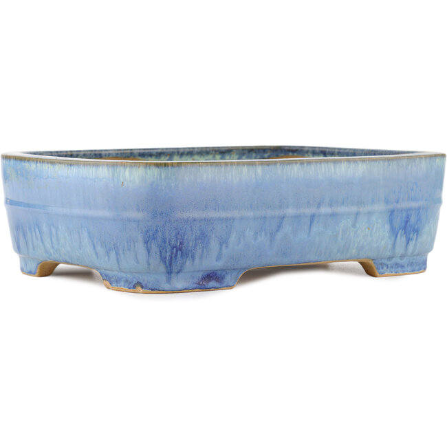 Vaso bonsai ovale blu di Yamafusa - 315 x 245 x 90 mm