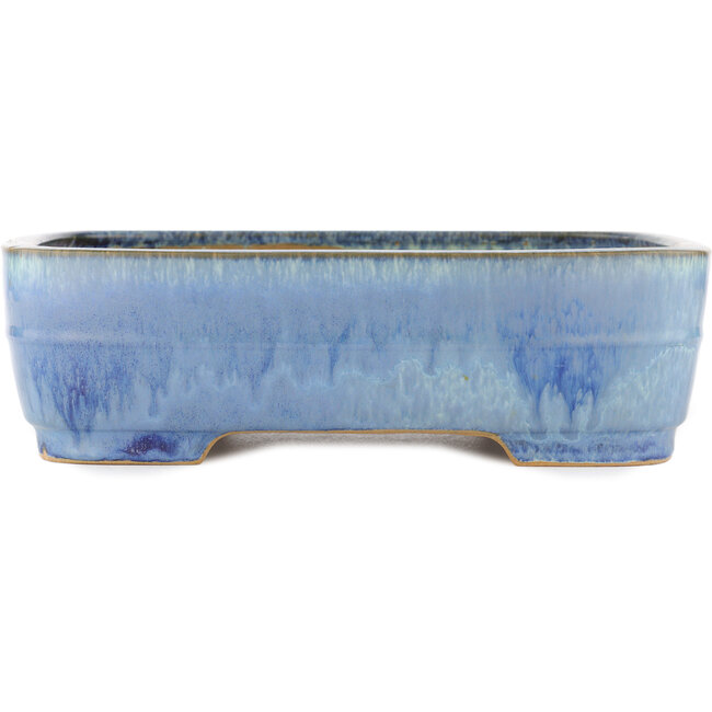 Vaso bonsai ovale blu di Yamafusa - 315 x 245 x 90 mm