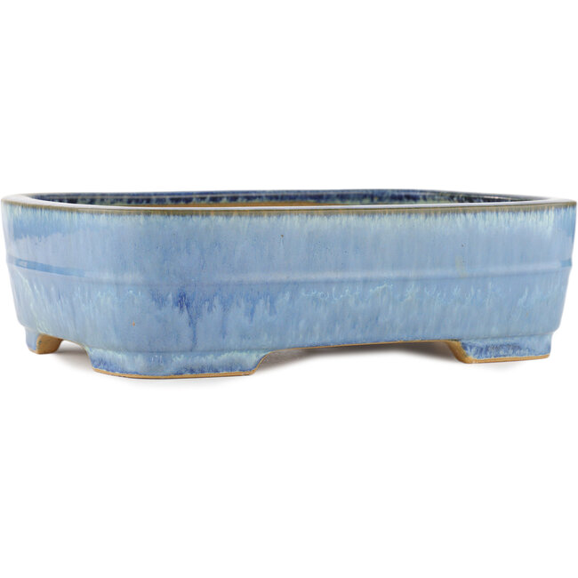 Vaso bonsai ovale blu di Yamafusa - 315 x 245 x 90 mm