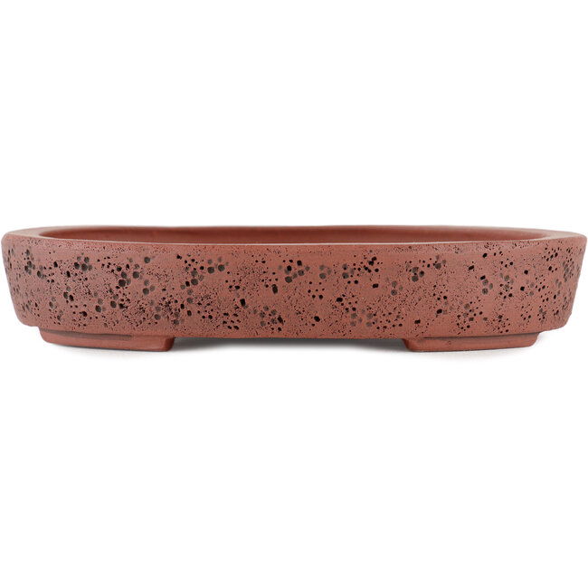 Oval unglazed bonsai pot by Kakuzan - 160 x 124 x 27 mm