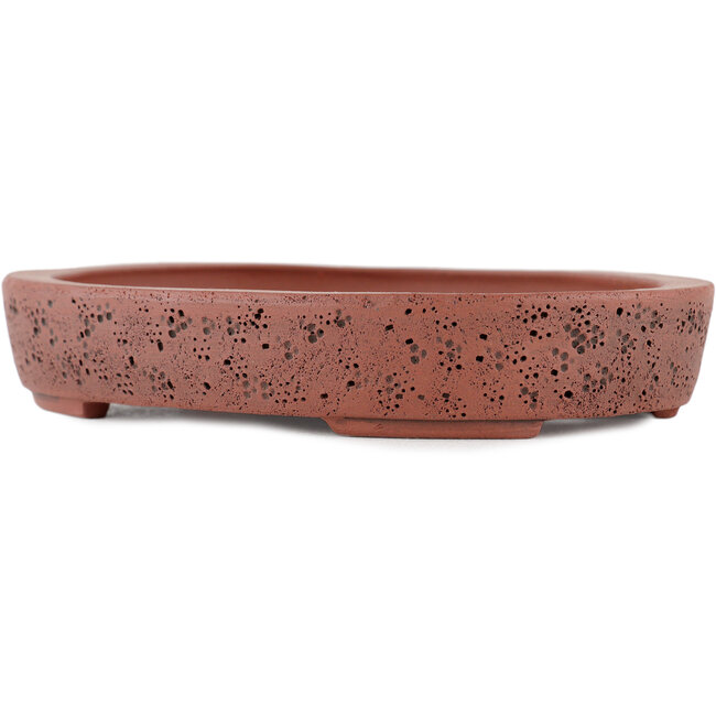 Maceta ovalada para bonsái sin esmaltar de Kakuzan - 160 x 124 x 27 mm