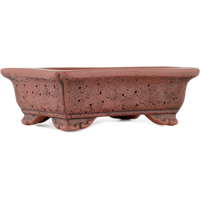 Rectangular unglazed bonsai pot by Kakuzan - 125 x 100 x 43 mm