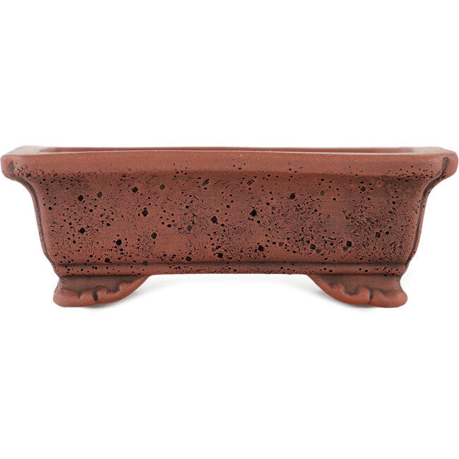 Rectangular unglazed bonsai pot by Kakuzan - 125 x 100 x 43 mm