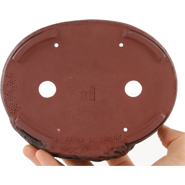 Pot à bonsaï ovale non émaillé par Kakuzan - 160 x 124 x 27 mm
