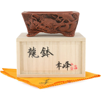  Kakuzan Maceta para bonsái rectangular sin esmaltar de 110 mm de Kakuzan, Tokoname, Japón