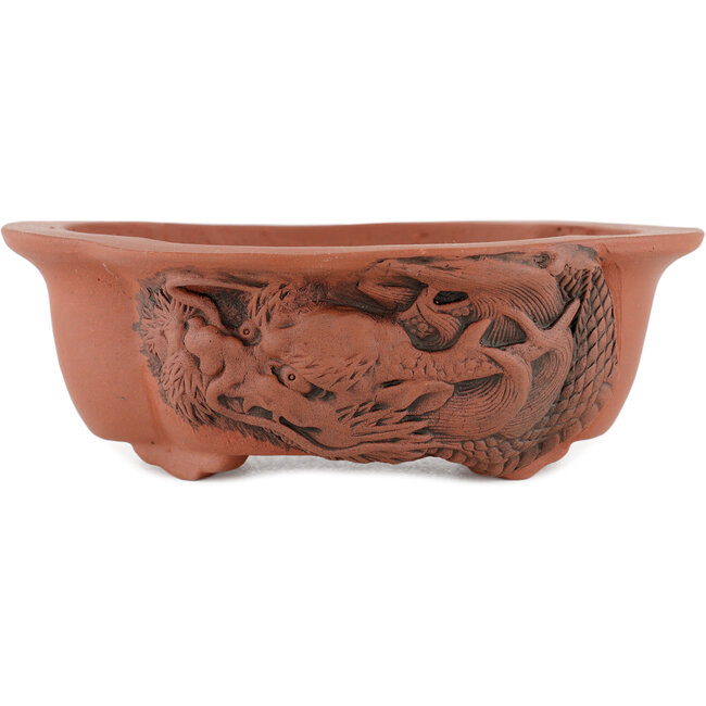 Pot à bonsaï ovale non émaillé par Kakuzan - 250 x 120 x 48 mm