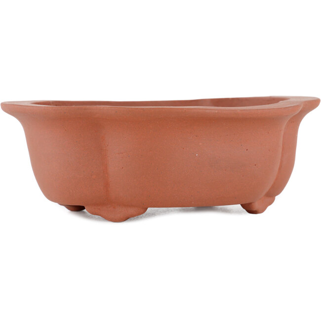 Pot à bonsaï ovale non émaillé par Kakuzan - 250 x 120 x 48 mm