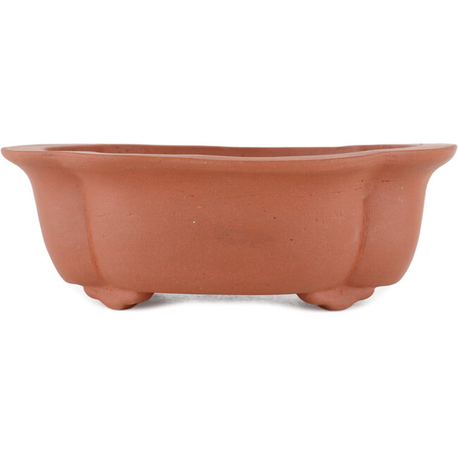 Vaso bonsai ovale non smaltato di Kakuzan - 250 x 120 x 48 mm