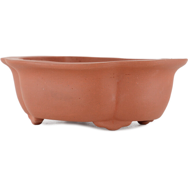 Pot à bonsaï ovale non émaillé par Kakuzan - 250 x 120 x 48 mm