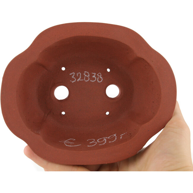 Vaso bonsai ovale non smaltato di Kakuzan - 250 x 120 x 48 mm