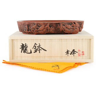  Kakuzan Maceta para bonsái ovalada sin esmaltar de 160 mm de Kakuzan, Tokoname, Japón