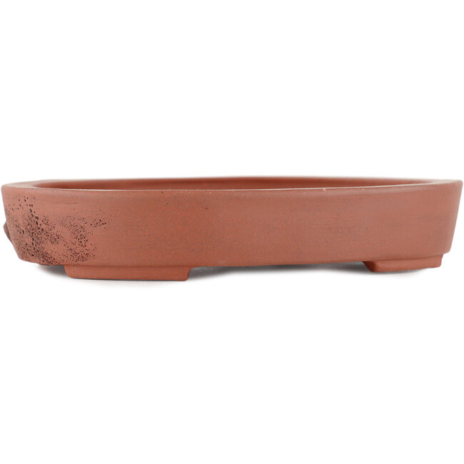 Oval unglazed bonsai pot by Kakuzan - 160 x 125 x 28 mm