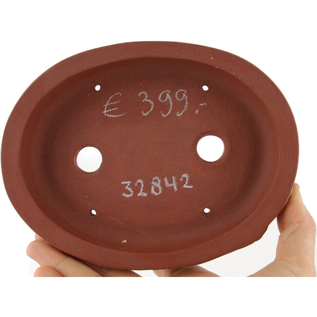 Vaso bonsai ovale non smaltato di Kakuzan - 160 x 125 x 28 mm