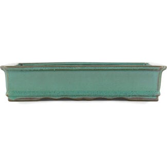 Koyo - Koichirou Aiba  255 mm rectangular green bonsai pot by Koyou, Tokoname, Japan