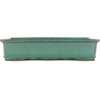 Koyo - Koichirou Aiba  Maceta rectangular para bonsái verde de 255 mm de Koyou, Tokoname, Japón