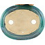 Pot à bonsaï ovale vert par Koyou - 250 x 200 x 190 mm