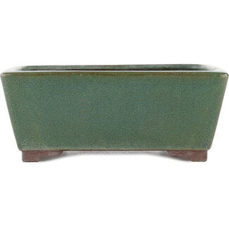 Yamaaki Maceta rectangular para bonsái verde de 250 mm de Yamaaki, Tokoname, Japón