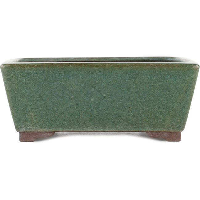 Rectangular green bonsai pot by Yamaaki - 250 x 185 x 95 mm