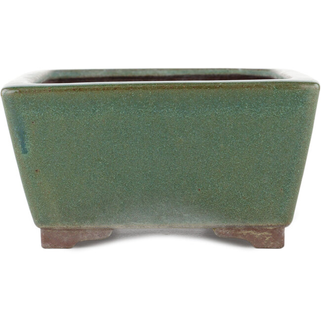 Vaso bonsai rettangolare verde di Yamaaki - 250 x 185 x 95 mm