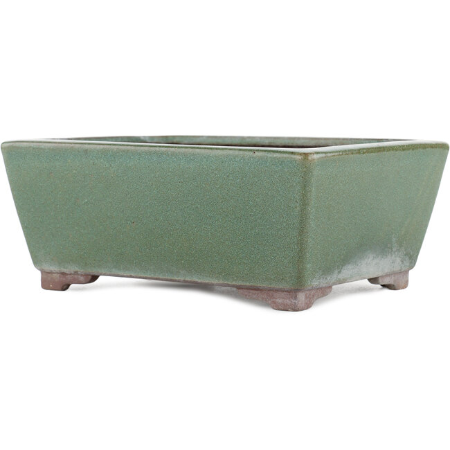 Maceta rectangular para bonsái verde de Yamaaki - 250 x 185 x 95 mm